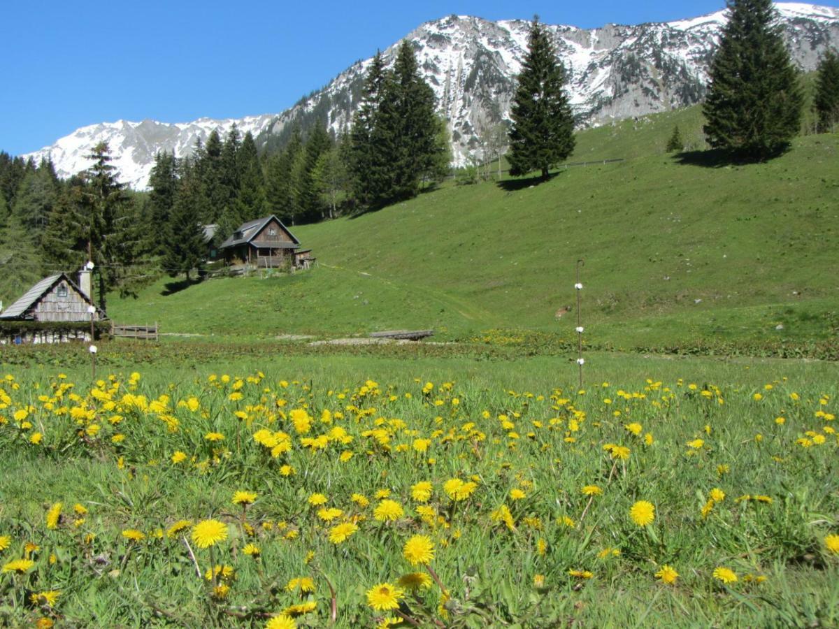 Almgasthaus Seebergalm Turnau Экстерьер фото